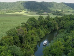 Daintree, Cape Tribulation & 4WD Bloomfield Track