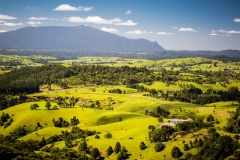 Best of the Cairns Tablelands Tours