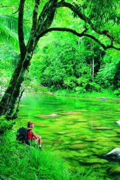 2 Day Reef & Rainforest Package