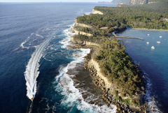 Bruny Island Cruise & Day Tours