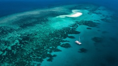 Sailaway Mackay & Undine Coral Cay Reef Tour
