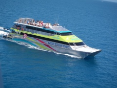 Big Cat Cruises