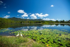 Blazing Saddles Horse Riding & ATV from Cairns