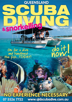 Gold Coast Snorkelling & Dive