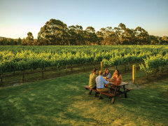 Margaret River Tours
