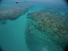 Ocean Freedom Cruise to Outer Edge Upolu Reef & Upolu Cay Reef