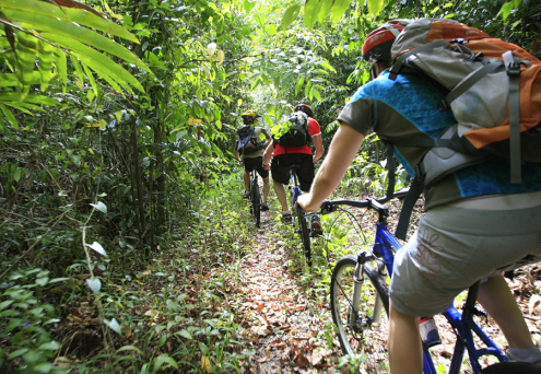 Cairns Mountain Bike Tours
