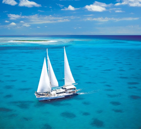 Day 1: Ocean Spirit Michaelmas Cay Cruise