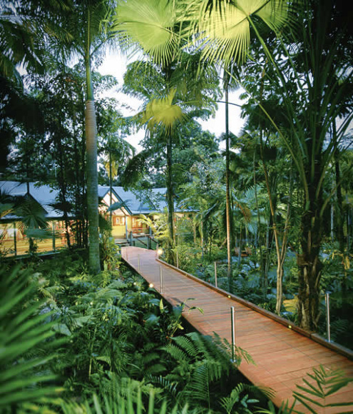 DAY ONE: Arrive into Cairns and transfer to Silky Oaks Lodge.