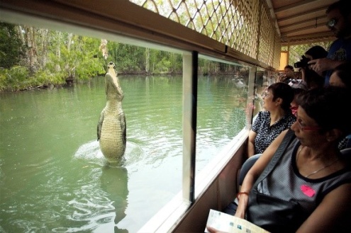 Hartley’s Croc Adventure Tour