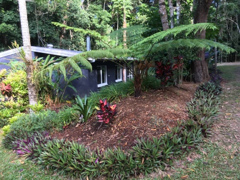 Honeybee House Kuranda Tropical Rainforest Hideaway