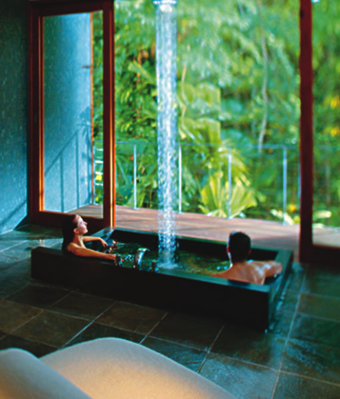 Romantic Reef and Rainforest Package