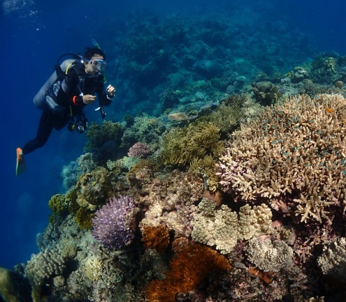 Scuba diving on the Rum Runner