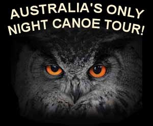 TOURS from Yungaburra