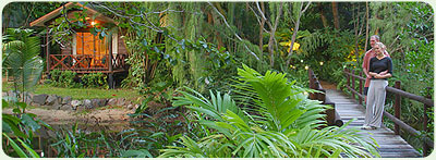 Absolute Beachfront & Rainforest Bungalows
