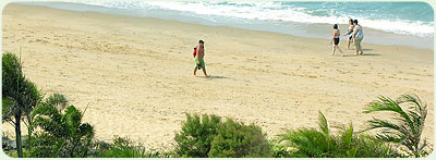 Trinity Beach Climate