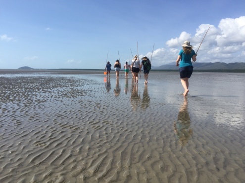 Coastal Mangrove Walk with Kuku Yalanji Cultural Habitat