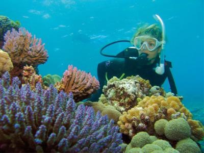 Discover an underwater paradise