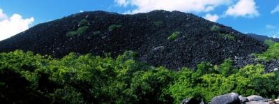 Day 2 - Explore Cooktown
