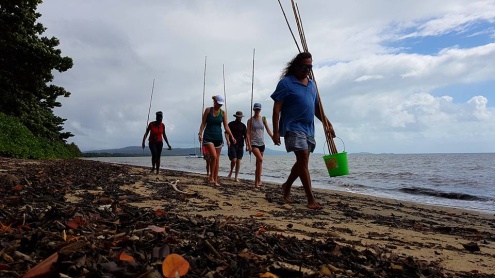 2 hour Cultural Coastal Mangrove Walk