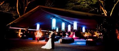 Magical Weddings