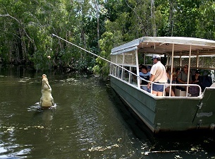 Lagoon Cruises