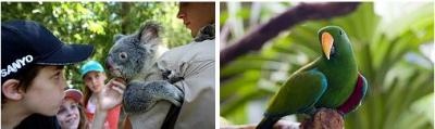 Wildlife Discovery Trail