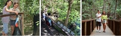 Cassowary Walk