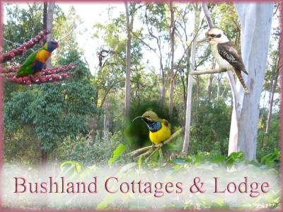 Wake to birdsong walk to the village!