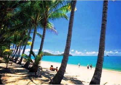 Palm Cove