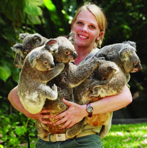 Our Wildlife