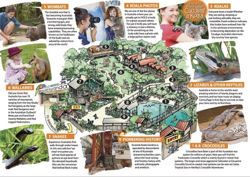 Kuranda Wildlife Experience Pass