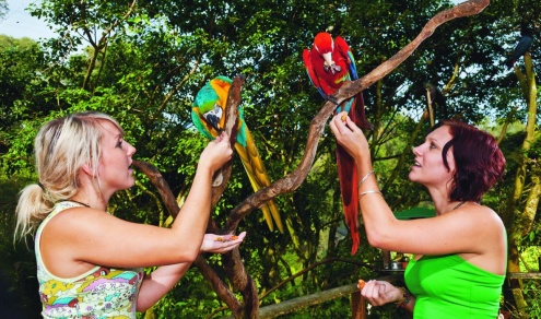 Birdworld Kuranda