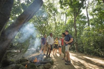 Ngadiku Rainforest Walk