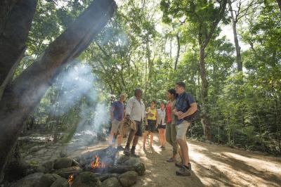  Ngadiku Rainforest Walk Mossman Gorge