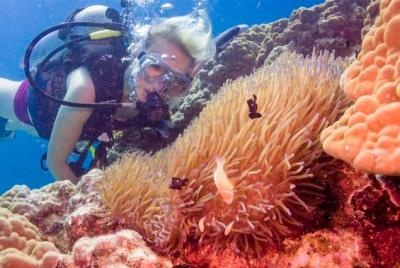 Certified Scuba Diving