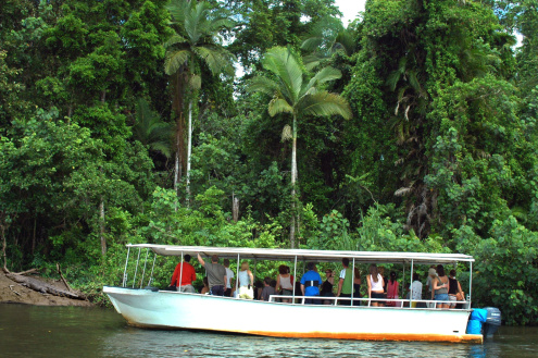 DAY 4: Daintree & Cape Trib Safari