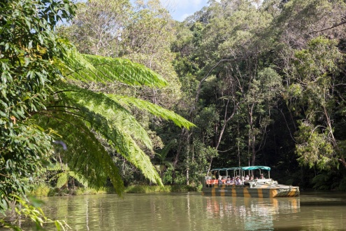 Rainforest Station Tour