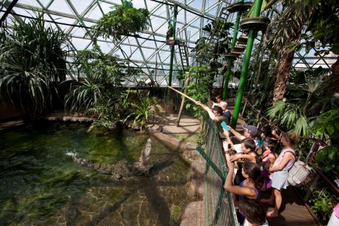 Cairns Hidden Gemmes Tour