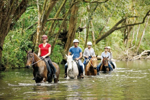 Half Day Horse Riding Tour