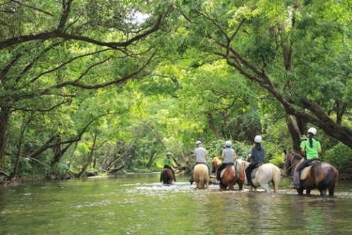 Private Horse Riding Tour