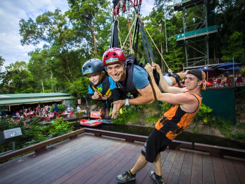 GIANT JUNGLE SWING