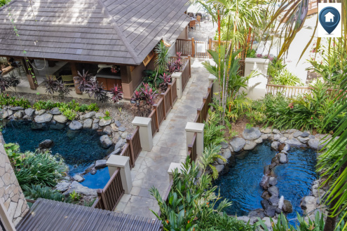 Sea Temple Palm Cove Studio Rooms
