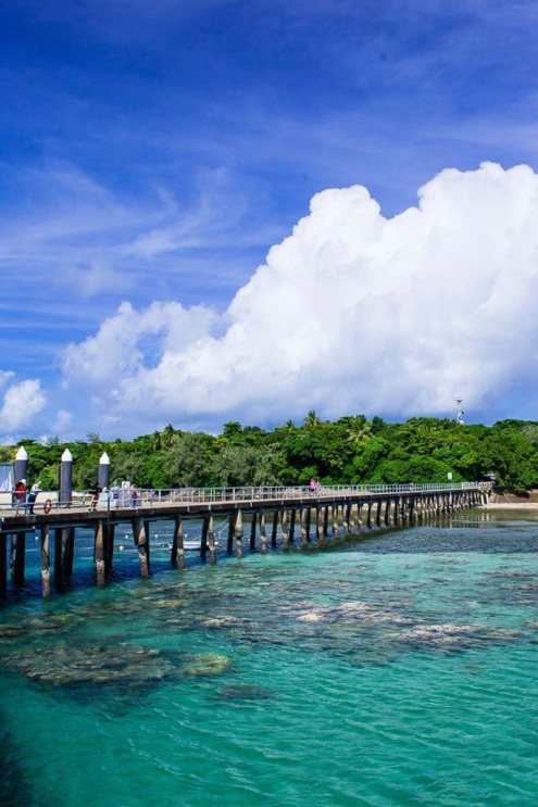 Island & Reef Combo