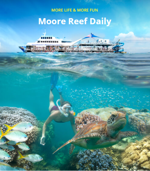 Sunlover Moore Reef Experience