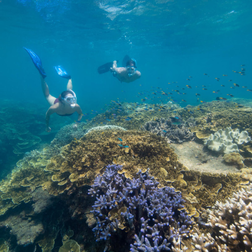 Sunlover Moore Reef Features & Inclusions