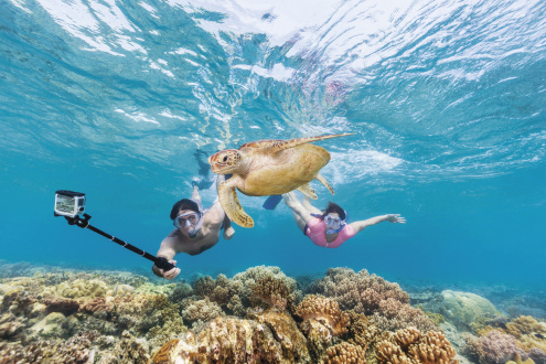 What to Bring on the Sunlover Reef Tour