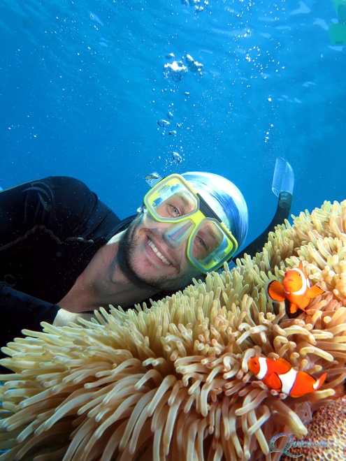 Snorkelling at Agincourt Reef