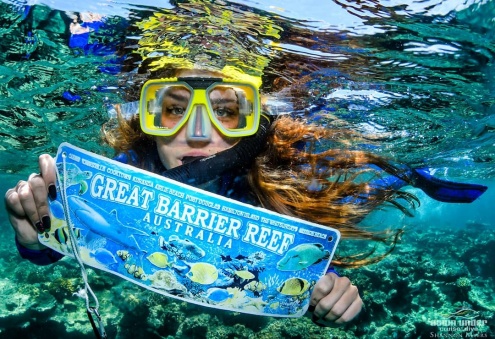 Snorkeling with Evolution Cairns