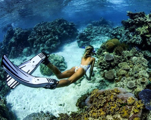 Snorkelling on the Great Barrier Reef